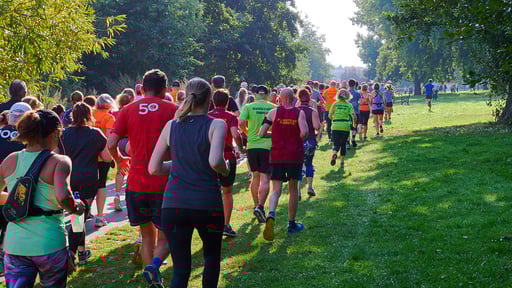 Victoria Park Kitchener Park Run, 32 Dill street kitchener, summer wellness Kitchener waterloo 2023