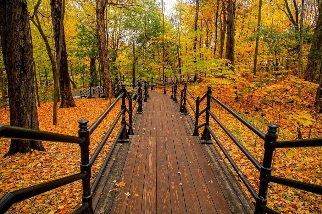 foundations on therapeutic touch - Moffat Ontario
