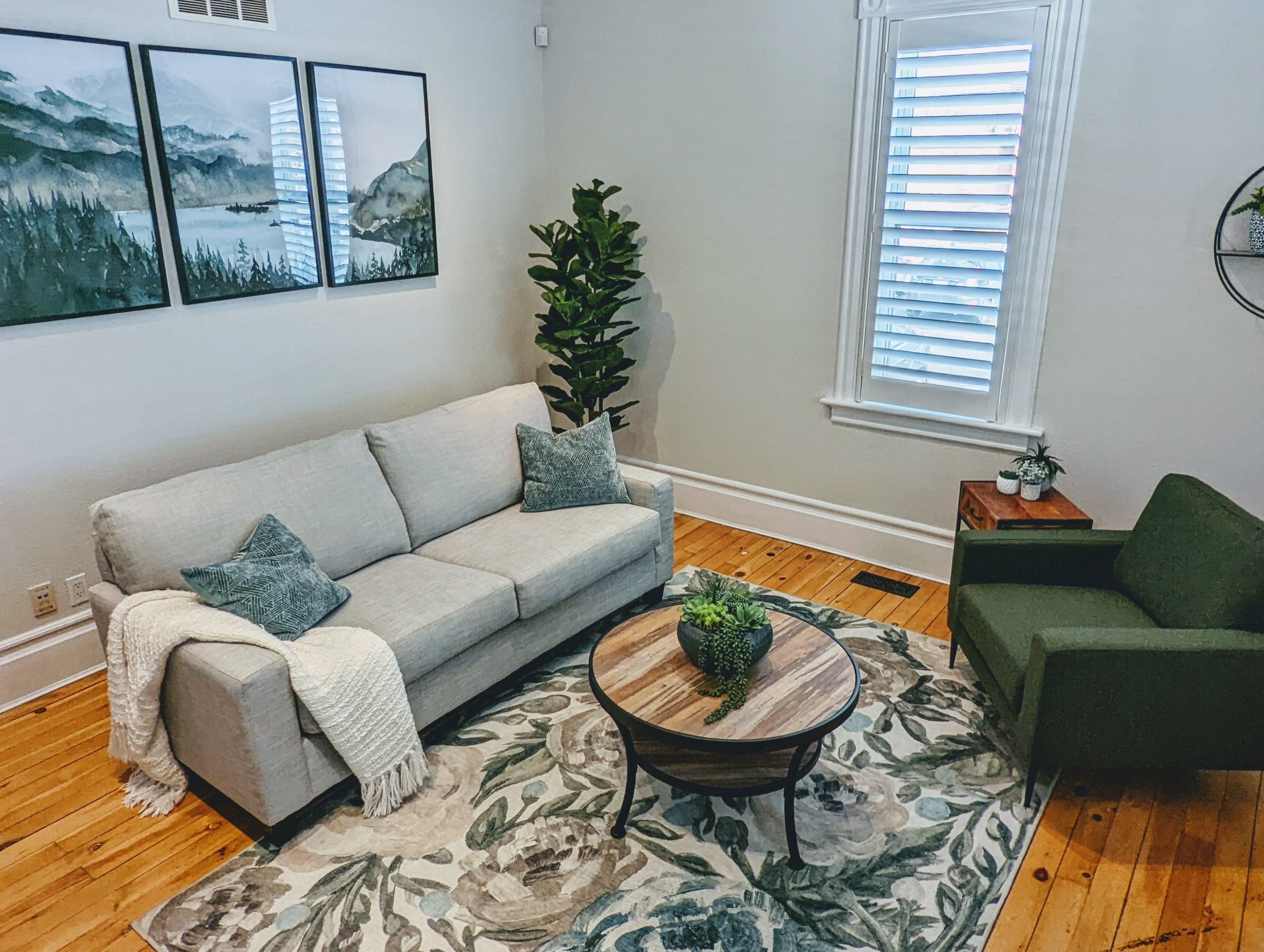 Psychotherapy Room