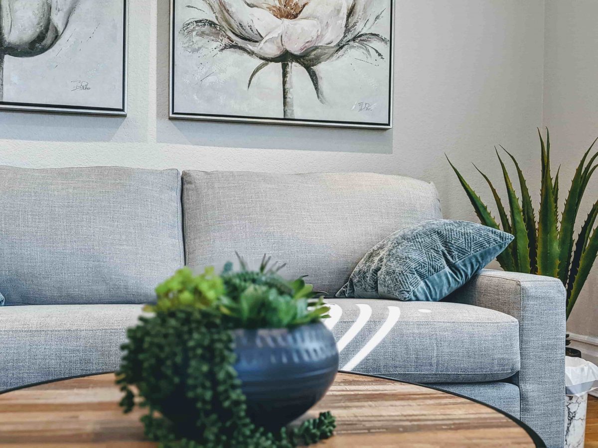 Therapy Room, questions to ask a therapist
